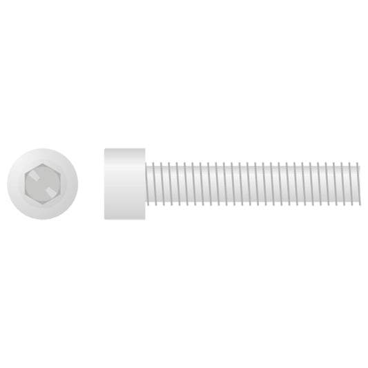 SOCKET HEAD ALLEN BOLT M6X1.0X30 10-PACK