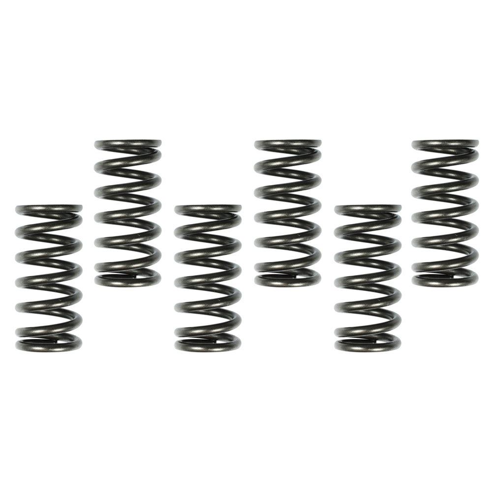 CLUTCH SPRINGS HONDA CRF450R 04-08, CRF450X 05-18  6PCS